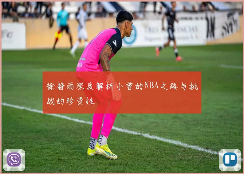 徐静雨深度解析小曾的NBA之路与挑战的珍贵性