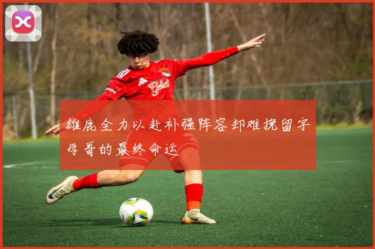 雄鹿全力以赴补强阵容却难挽留字母哥的最终命运