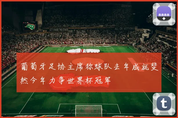 葡萄牙足协主席称球队去年成就斐然今年力争世界杯冠军
