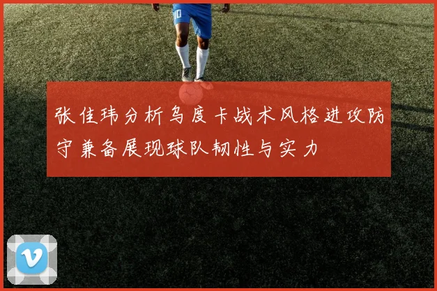 张佳玮分析乌度卡战术风格进攻防守兼备展现球队韧性与实力