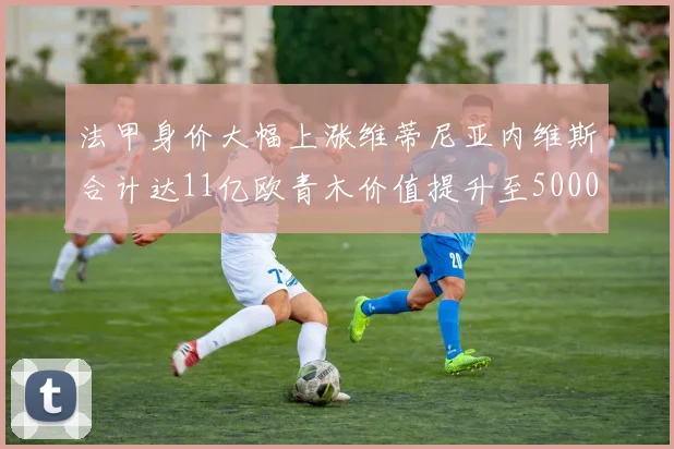 法甲身价大幅上涨维蒂尼亚内维斯合计达11亿欧青木价值提升至5000万